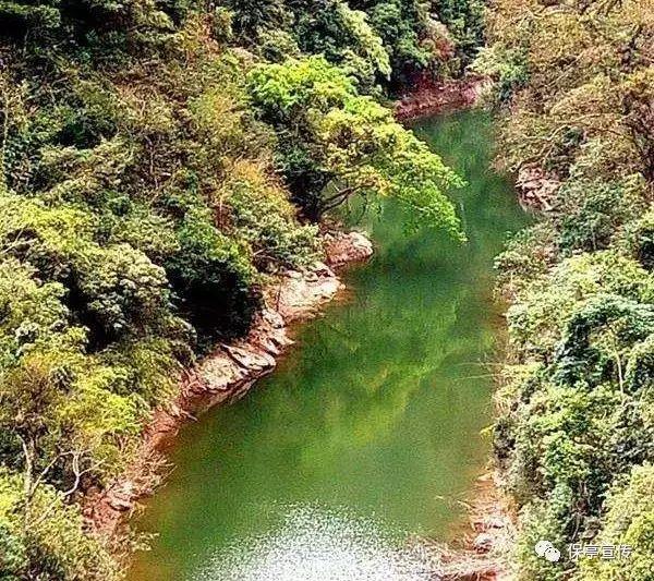 一百年之后